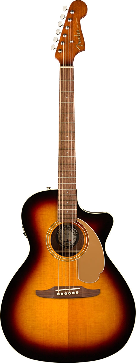 Fender Newporter Player
